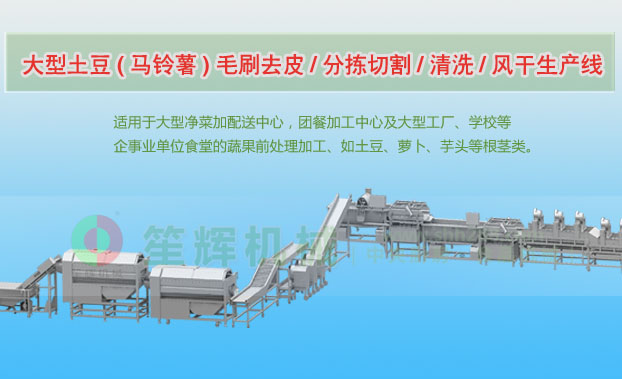 蓬溪连续式土豆去皮清洗切割风干生产线